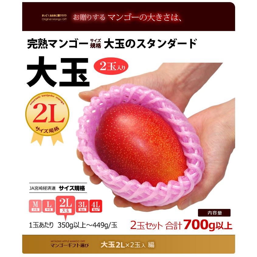 宮崎　完熟　マンゴー＆特大ミニマンゴー　10玉　2k 宮崎 完熟 特大ミニマンゴー 12玉 2.3k〜 ② - メルカリ