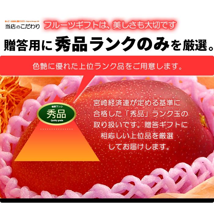 宮崎マンゴー (2L×2玉/約700g) 宮崎産 赤秀〜青秀 宮崎完熟マンゴー