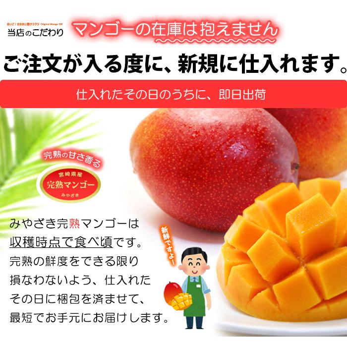 宮崎マンゴー (2L×2玉/約700g) 宮崎産 赤秀〜青秀 宮崎完熟マンゴー