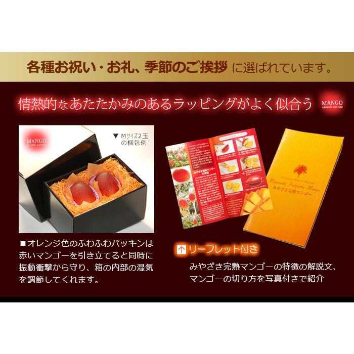 宮崎マンゴー (2L×2玉/約700g) 宮崎産 赤秀〜青秀 宮崎完熟マンゴー 