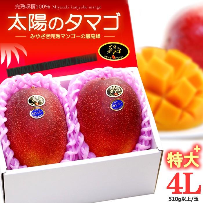 太陽のタマゴ (4L×2玉/約1020g) 宮崎産 赤秀〜青秀 太陽のたまご