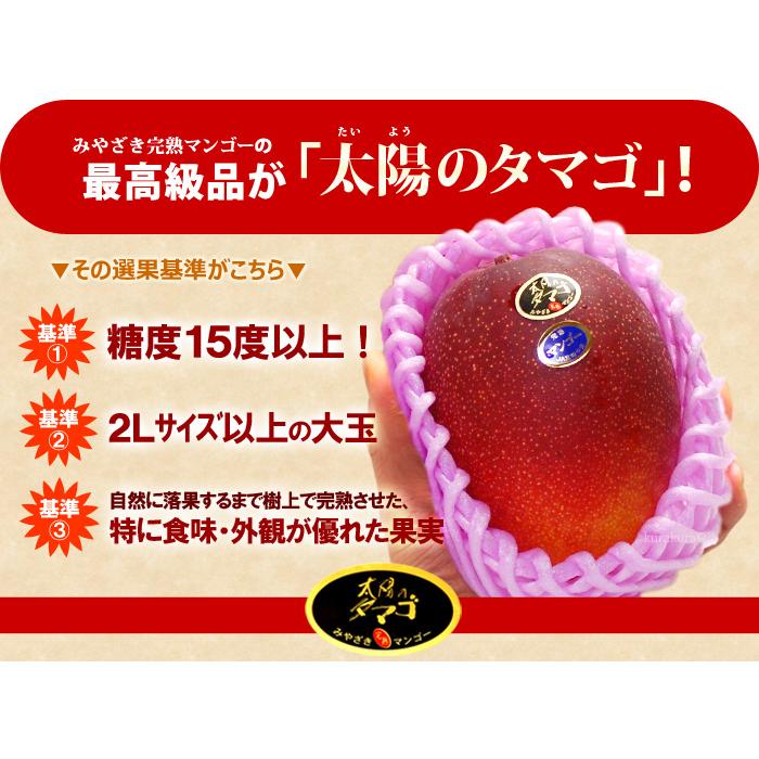 太陽のタマゴ (4L×2玉/約1020g) 宮崎産 赤秀〜青秀 太陽のたまご
