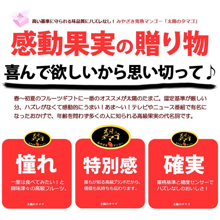 太陽のタマゴ (4L×2玉/約1020g) 宮崎産 赤秀〜青秀 太陽のたまご