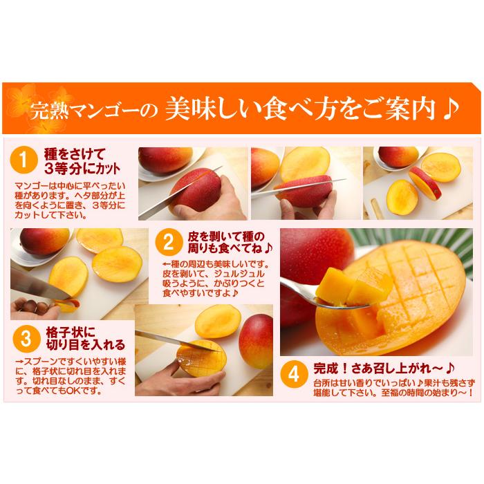 太陽のタマゴ (4L×2玉/約1020g) 宮崎産 赤秀〜青秀 太陽のたまご