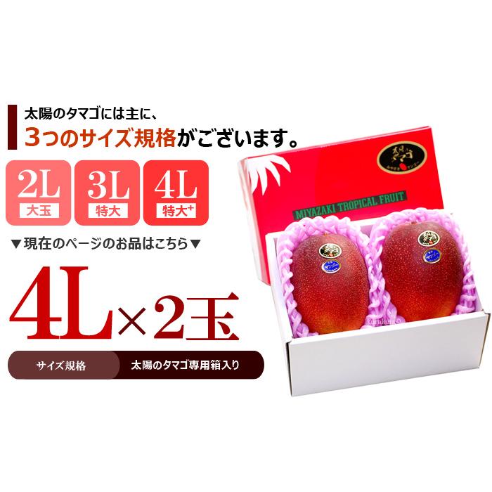 太陽のタマゴ (4L×2玉/約1020g) 宮崎産 赤秀〜青秀 太陽のたまご