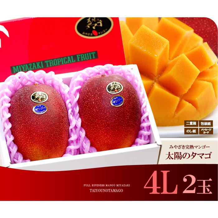太陽のタマゴ (4L×2玉/約1020g) 宮崎産 赤秀〜青秀 太陽のたまご