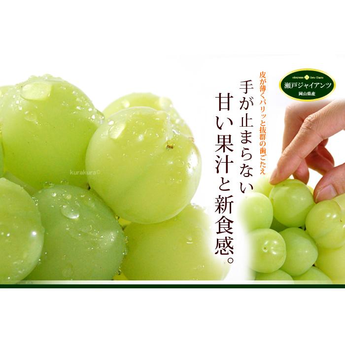 乾燥山ぶどう樹皮2kg 。　7-072 乾燥山ぶどう樹皮2kg 。 7-072 乾燥山ぶどう樹皮2kg 。 7-072 乾燥山