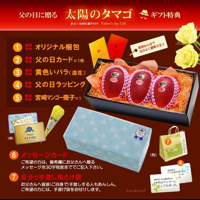 父の日 ギフト 太陽のタマゴ (2L×3玉/約1kg) 宮崎産 赤秀〜青秀 父の日ギフト 太陽のたまご 宮崎 宮崎マンゴー 完熟マンゴー 国産マンゴー アップルマンゴー_10