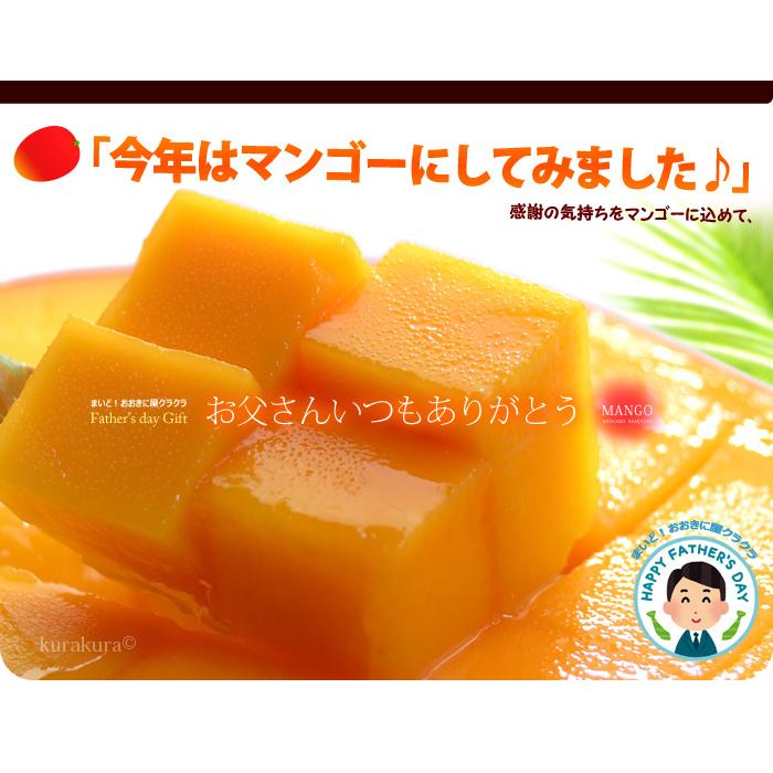 父の日 ギフト 太陽のタマゴ (2L×3玉/約1kg) 宮崎産 赤秀〜青秀 父の日ギフト 太陽のたまご 宮崎 宮崎マンゴー 完熟マンゴー 国産マンゴー アップルマンゴー_11