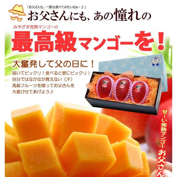 父の日 ギフト 太陽のタマゴ (2L×3玉/約1kg) 宮崎産 赤秀〜青秀 父の日ギフト 太陽のたまご 宮崎 宮崎マンゴー 完熟マンゴー 国産マンゴー アップルマンゴー_1