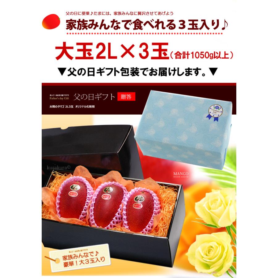 父の日 ギフト 太陽のタマゴ (2L×3玉/約1kg) 宮崎産 赤秀〜青秀 父の日ギフト 太陽のたまご 宮崎 宮崎マンゴー 完熟マンゴー 国産マンゴー アップルマンゴー_2
