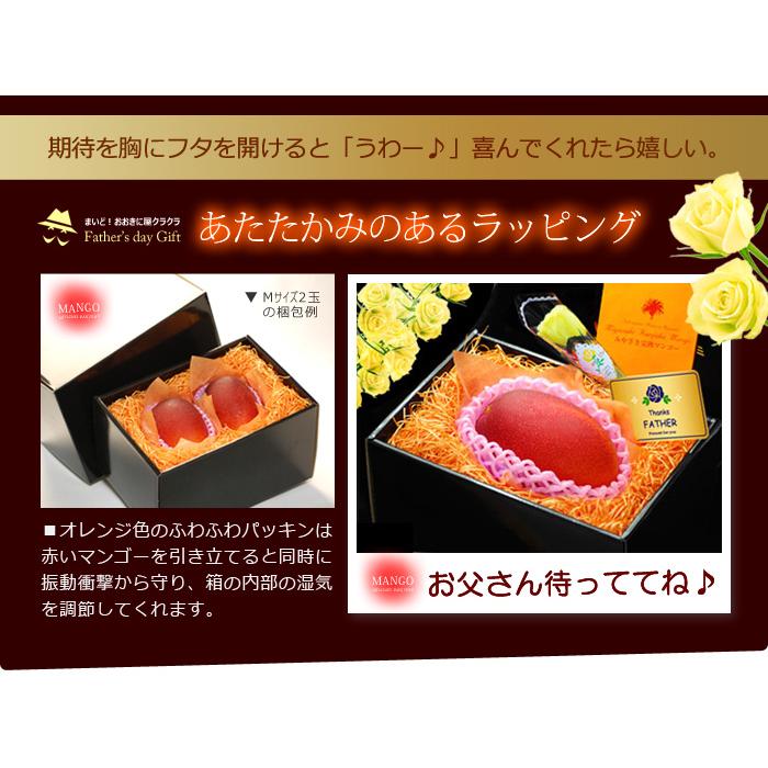 父の日 ギフト 太陽のタマゴ (2L×3玉/約1kg) 宮崎産 赤秀〜青秀 父の日ギフト 太陽のたまご 宮崎 宮崎マンゴー 完熟マンゴー 国産マンゴー アップルマンゴー_4