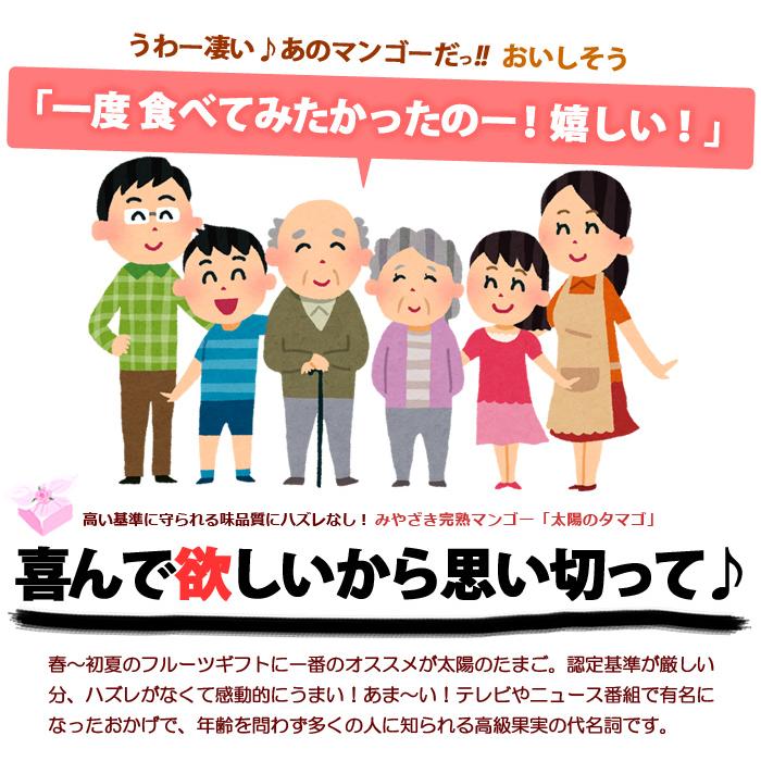 父の日 ギフト 太陽のタマゴ (2L×3玉/約1kg) 宮崎産 赤秀〜青秀 父の日ギフト 太陽のたまご 宮崎 宮崎マンゴー 完熟マンゴー 国産マンゴー アップルマンゴー_5