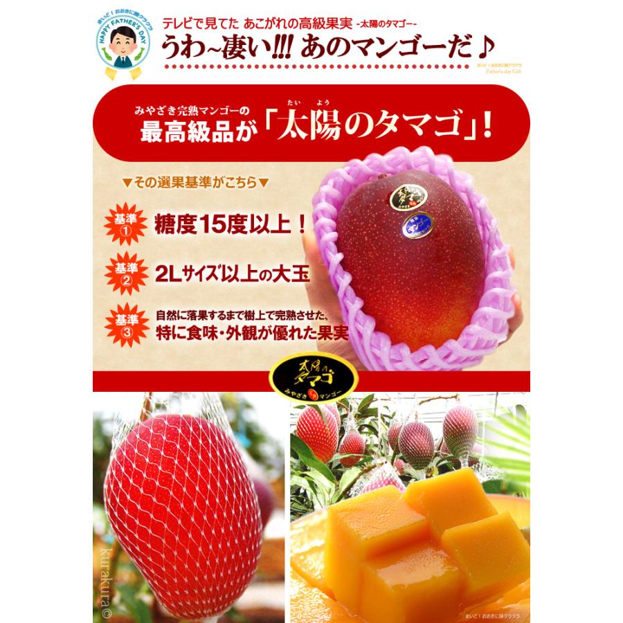 父の日 ギフト 太陽のタマゴ (2L×3玉/約1kg) 宮崎産 赤秀〜青秀 父の日ギフト 太陽のたまご 宮崎 宮崎マンゴー 完熟マンゴー 国産マンゴー アップルマンゴー_6