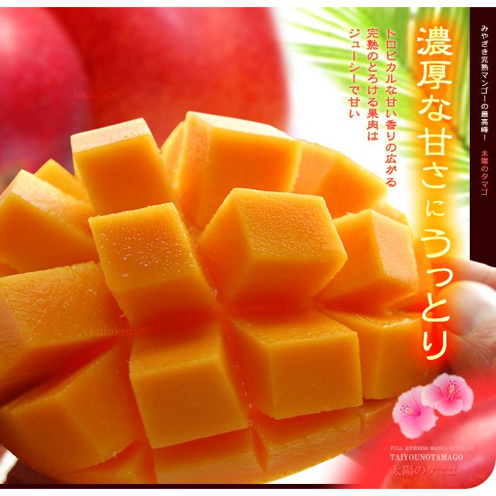父の日 ギフト 太陽のタマゴ (2L×3玉/約1kg) 宮崎産 赤秀〜青秀 父の日ギフト 太陽のたまご 宮崎 宮崎マンゴー 完熟マンゴー 国産マンゴー アップルマンゴー_7