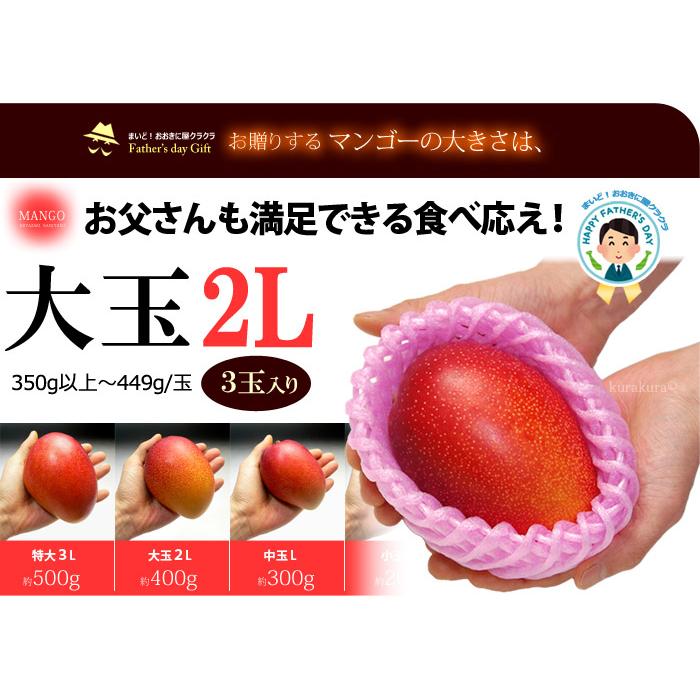 父の日 ギフト 太陽のタマゴ (2L×3玉/約1kg) 宮崎産 赤秀〜青秀 父の日ギフト 太陽のたまご 宮崎 宮崎マンゴー 完熟マンゴー 国産マンゴー アップルマンゴー_8
