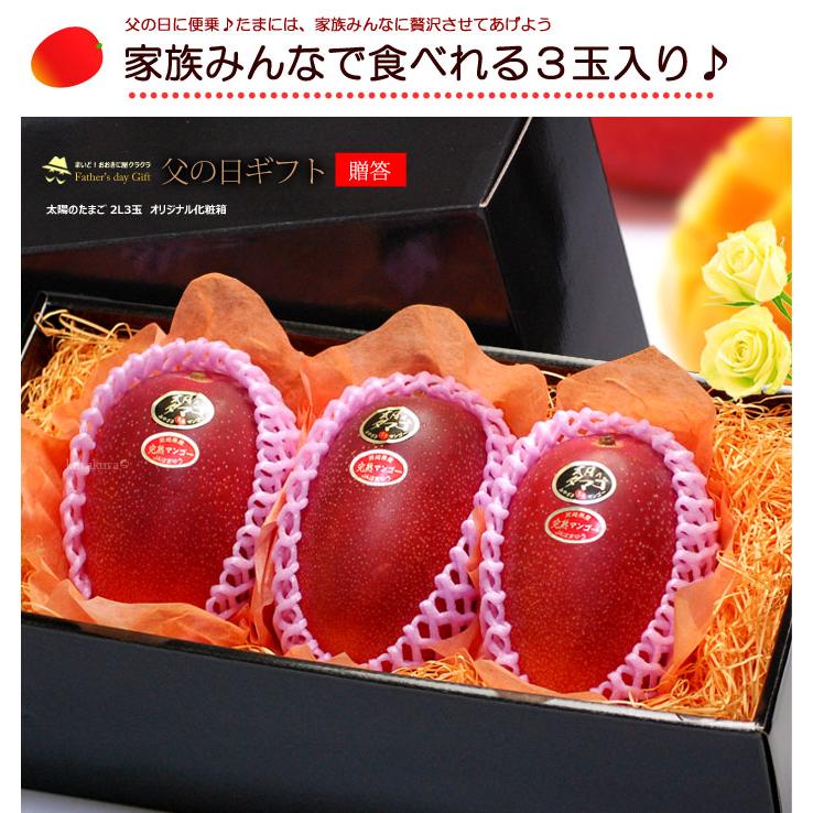 父の日 ギフト 太陽のタマゴ (2L×3玉/約1kg) 宮崎産 赤秀〜青秀 父の日ギフト 太陽のたまご 宮崎 宮崎マンゴー 完熟マンゴー 国産マンゴー アップルマンゴー_9