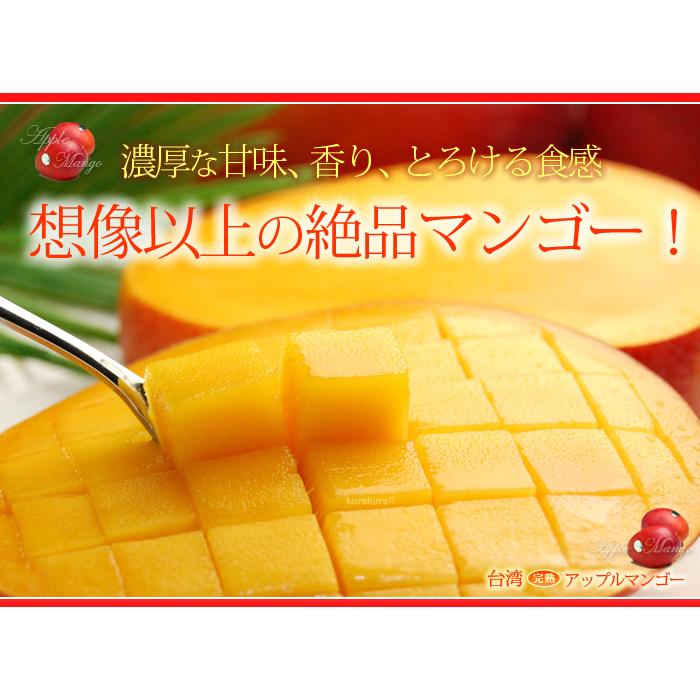 台湾マンゴー (12-14玉/約5kg) 台湾産 アーウィンマンゴー 愛文 マンゴー まんごー taiwan mango 日本向け栽培 食品 フルーツ 果物 マンゴー アップルマンゴー｜ookiniya｜02