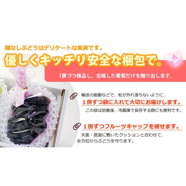ナガノパープル 4L×2房 (約1.2kg) 長野産 秀品 ながのぱーぷる ぶどう