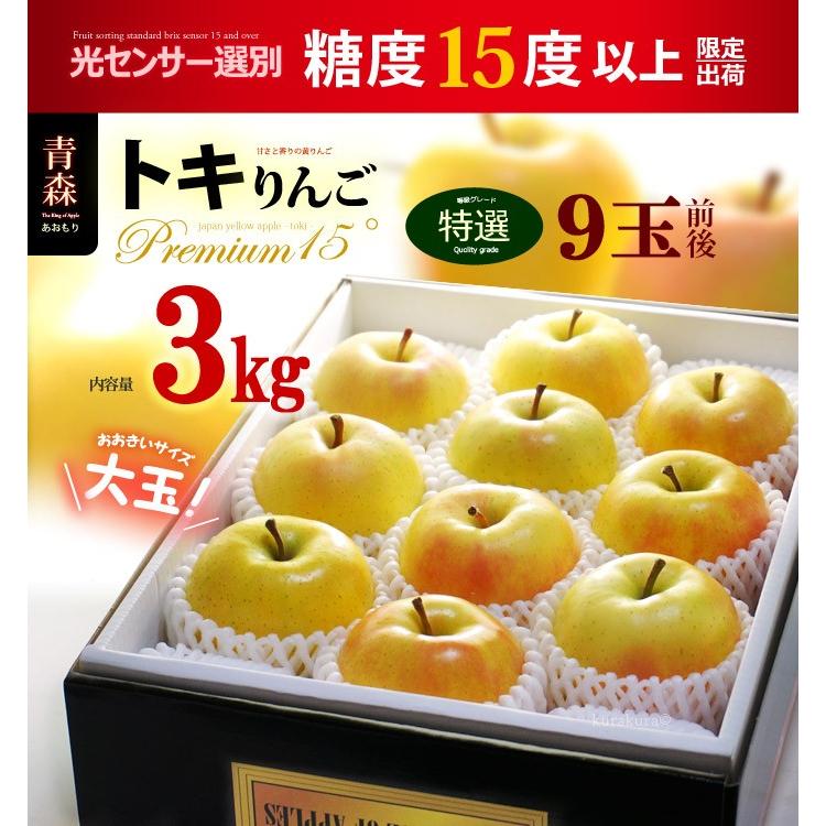 トキりんご プレミアム 15° (約3kg) 青森産 特選 贈答用 ギフト