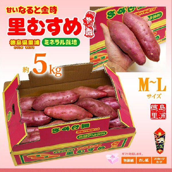 なると金時 里むすめ (M-L/5kg) 徳島県 里浦産 贈答ランク なると金時 里むすめ (M-L/5kg) 徳島県 里浦産 贈答ランク