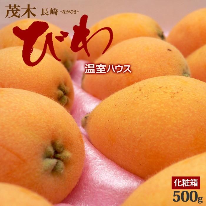 温室 茂木びわ L-2L (9-12粒/約500g) 長崎産 秀品 ギフト 贈答 ハウスビワ 食品 フルーツ 果物 びわ 茂木ビワ もぎびわ 枇杷 進物 御供え お供え