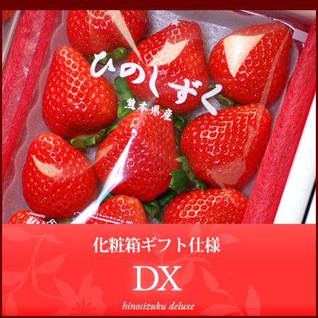 ひのしずく いちご デラックス (約300g×2P) 熊本産 ひのしずくDX 贈答