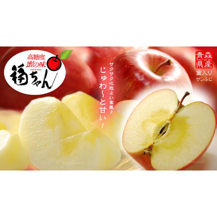 りんご☆プロフ必読 出品 サンふじ りんご 福ちゃん 蜜入り選果 (5kg) 青森産 特選 贈答用