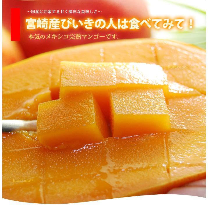 ヴィーナスマンゴー (5-6玉/約2kg) メキシコ産 メキシコマンゴー マンゴー 輸入 高糖度 甘い 高級 食品 フルーツ 果物 マンゴー ギフト 贈答 御供え お供え｜ookiniya｜06