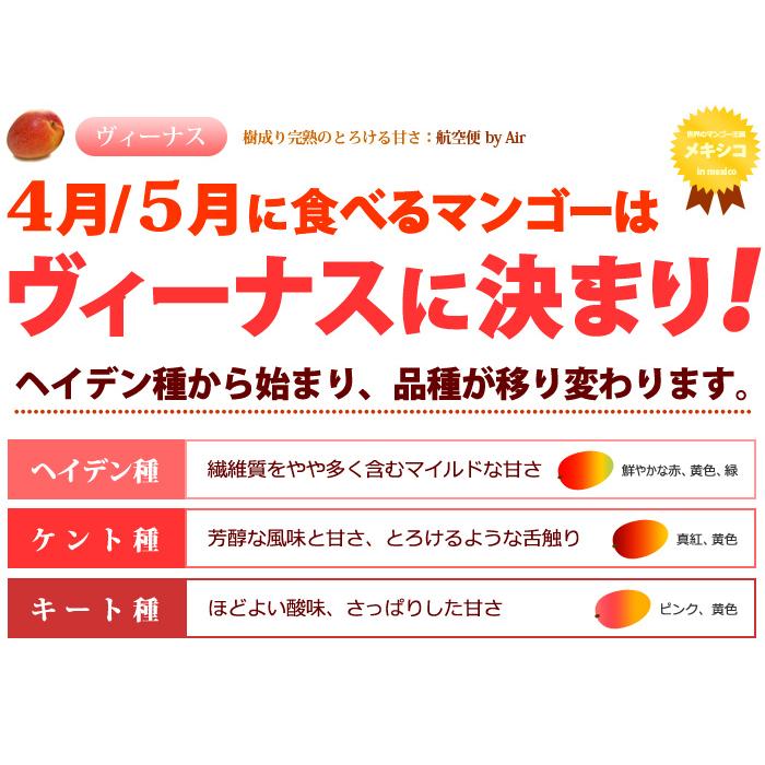 ヴィーナスマンゴー (5-6玉/約2kg) メキシコ産 メキシコマンゴー マンゴー 輸入 高糖度 甘い 高級 食品 フルーツ 果物 マンゴー ギフト 贈答 御供え お供え｜ookiniya｜07