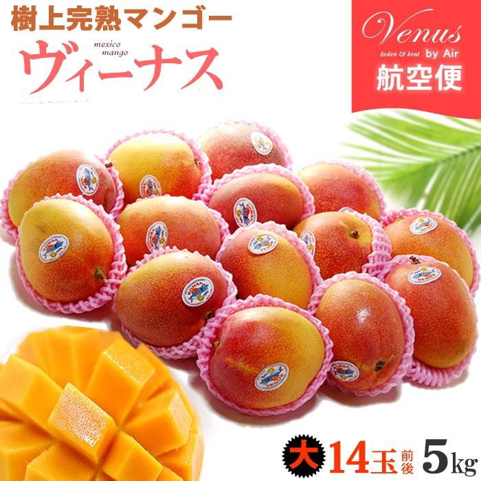 ヴィーナスマンゴー (12-14玉/約5kg) メキシコ産 メキシコマンゴー マンゴー 輸入 高糖度 甘い 高級 食品 フルーツ 果物 マンゴー ギフト 贈答 お供え