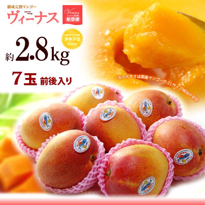 ヴィーナスマンゴー (7-8玉/約2.8kg) メキシコ産 メキシコマンゴー 