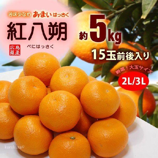 紅はっさく (2L-3L/5kg) 広島産 赤秀 八朔 はっさく ハッサク 紅八朔