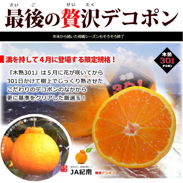 木熟 デコポン 301 (約3kg) 和歌山産 でこぽん 秀品 柑橘 贈答 ギフト