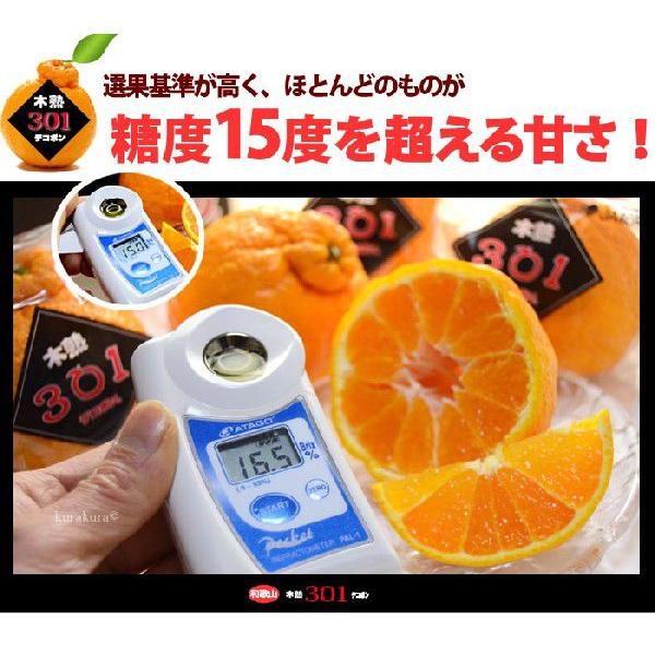 木熟 デコポン 301 (約3kg) 和歌山産 でこぽん 秀品 柑橘 贈答 ギフト