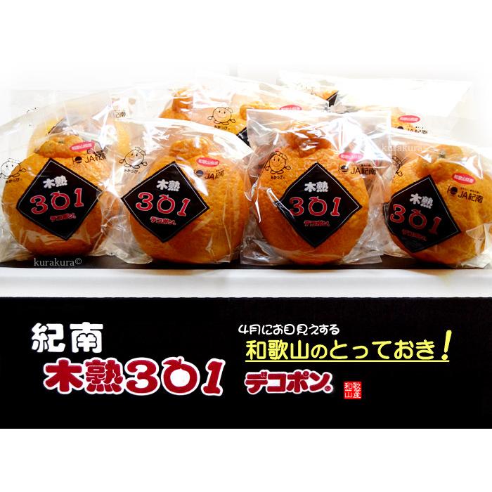木熟 デコポン 301 (約3kg) 和歌山産 でこぽん 秀品 柑橘 贈答 ギフト