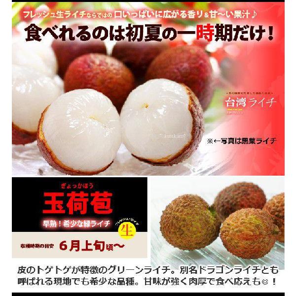 台湾ライチ 玉荷包 (約3kg) 台湾産 玉荷苞 ライチ 生ライチ らいち グリーンライチ ドラゴンライチ レイシ 茘枝 ぎょっかほう ぎょくかほう 航空便 エアー便｜ookiniya｜08