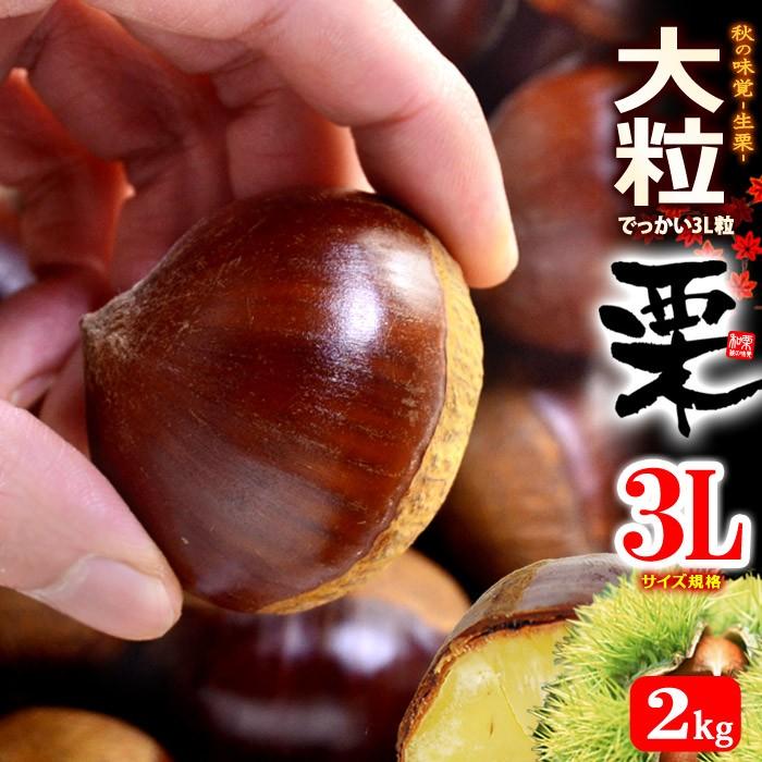 栗 3L (約2kg) 熊本・愛媛・茨城産 大粒 和栗 生栗 くり クリ 食品