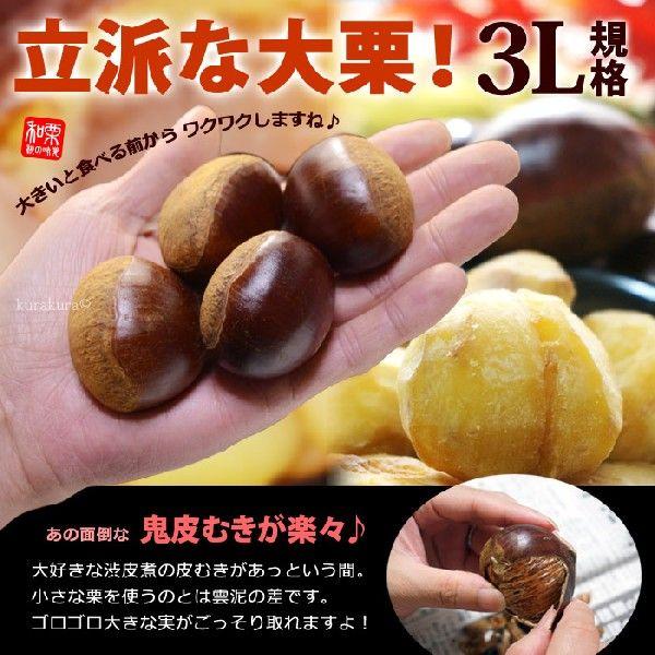 栗 3L (約2kg) 熊本・愛媛・茨城産 大粒 和栗 生栗 くり クリ 食品