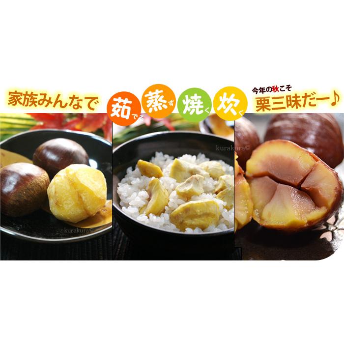 栗 3L (約2kg) 熊本・愛媛・茨城産 大粒 和栗 生栗 くり クリ