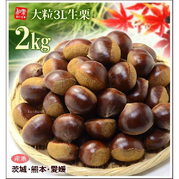 栗 3L (約2kg) 熊本・愛媛・茨城産 大粒 和栗 生栗 くり クリ 食品