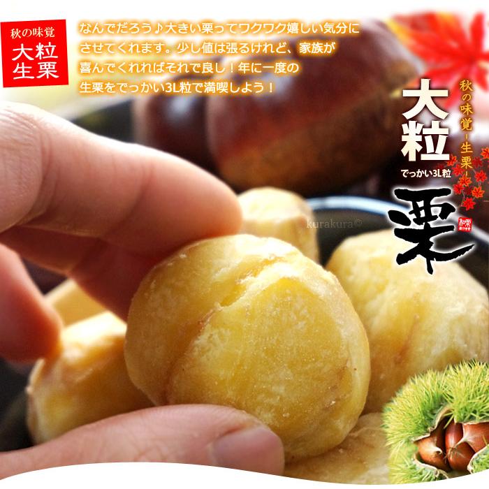 栗 3L (約2kg) 熊本・愛媛・茨城産 大粒 和栗 生栗 くり クリ 食品
