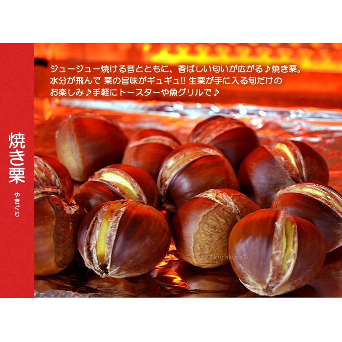 栗 3L (約2kg) 熊本・愛媛・茨城産 大粒 和栗 生栗 くり クリ 食品