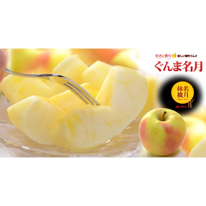 ぐんま名月 りんご (3kg) 長野産 秀品 贈答用 名月りんご めいげつ