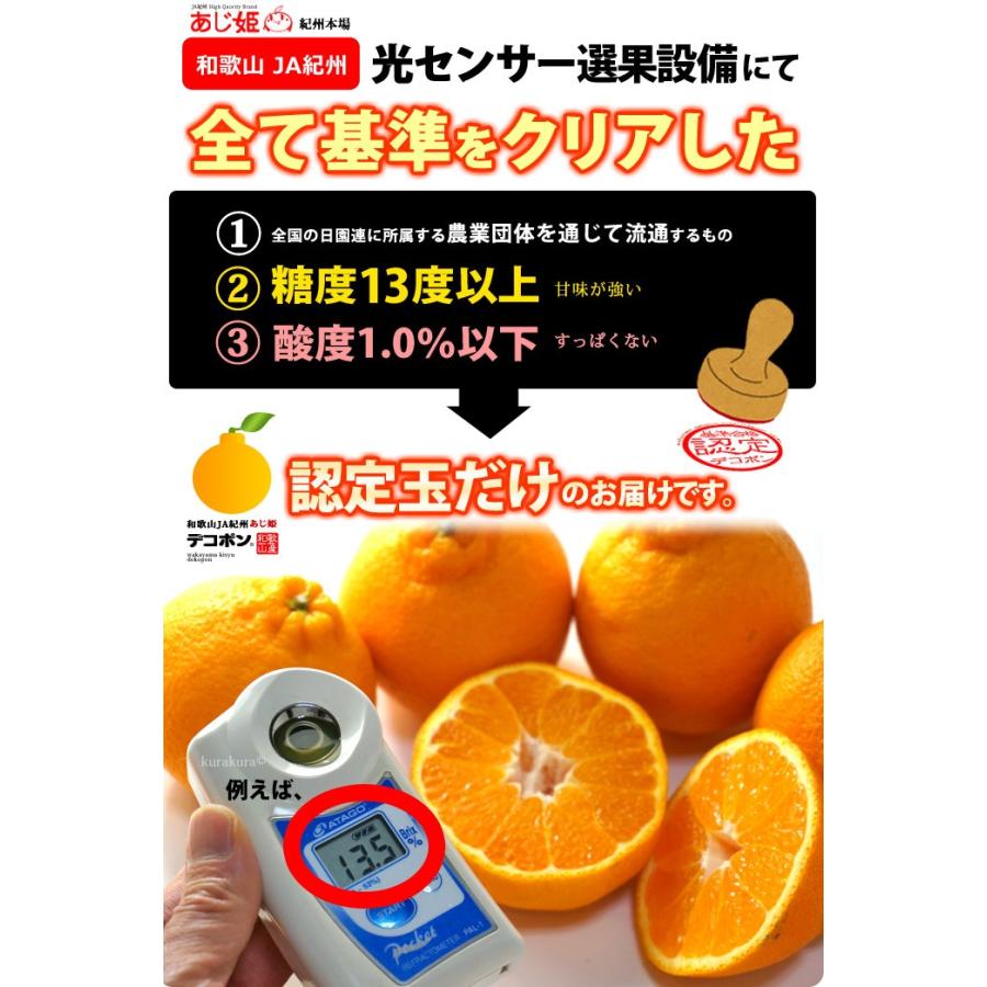 和歌山　デコポン　不知火　高糖度　6kg 変更 和歌山産 不知火【デコポン】(6玉×1箱、L～2Lサイズ)【まごころ手選別