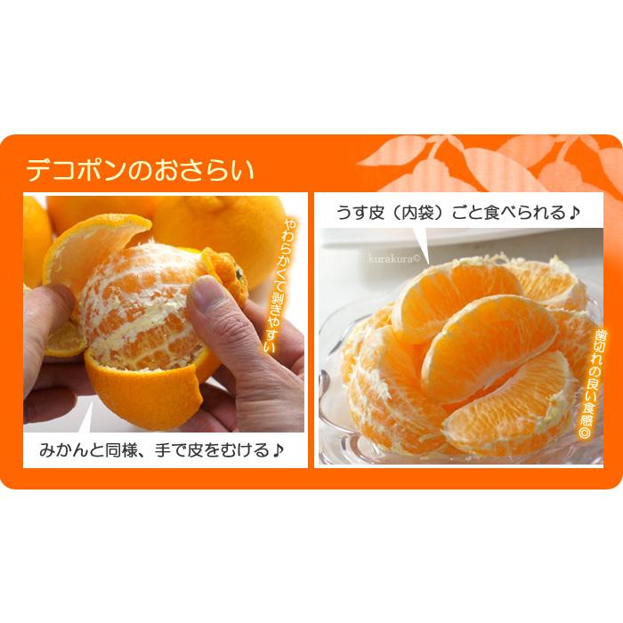 紀州選果場 長期貯蔵 デコポン (20-24玉/約5kg) 和歌山産 旧あじ姫