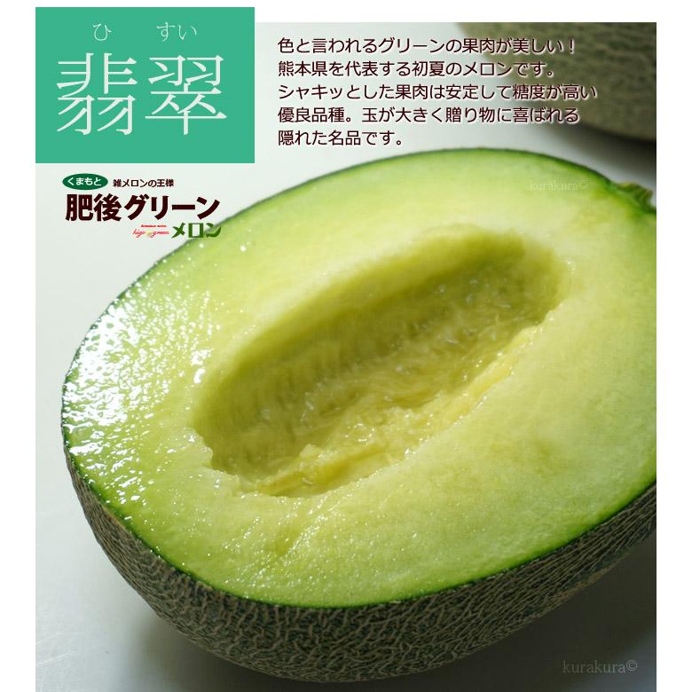 肥後グリーン メロン 4L×2玉 (約4kg) 熊本産 大玉 秀品 青肉 肥後グリーン メロン 4L×2玉 (約4kg) 熊本産 大玉 秀品 青肉