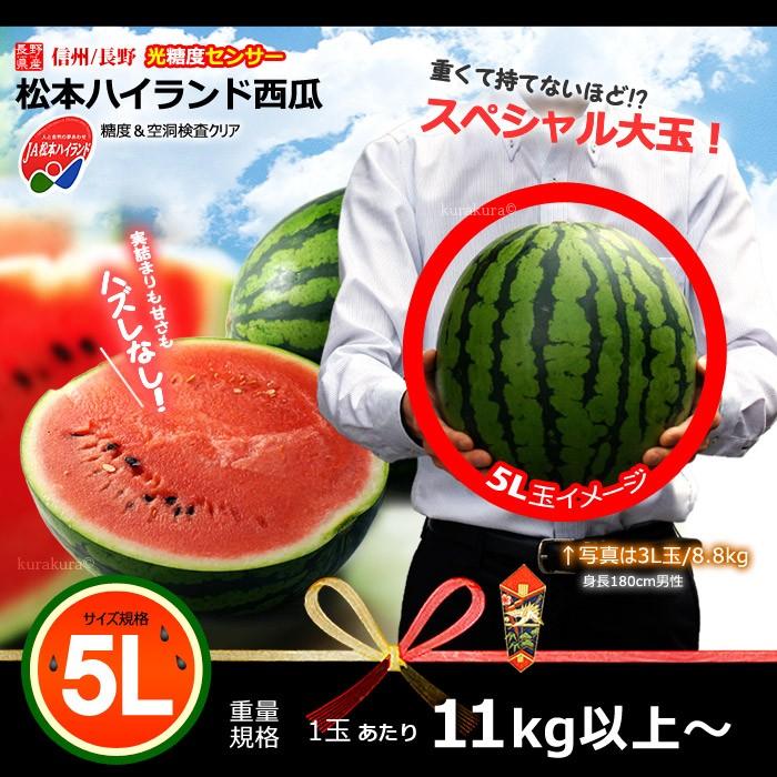 松本ハイランド すいか 秀品 (5L×1玉) 長野産 A品 光糖度センサー 信州