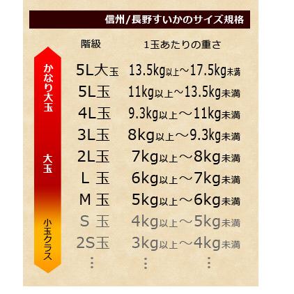松本ハイランド すいか 秀品 (5L×1玉) 長野産 A品 光糖度センサー 信州