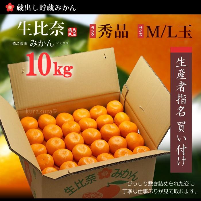 蔵出し 生比奈 みかん (約10kg) 徳島県勝浦町産 秀品 蔵出しみかん